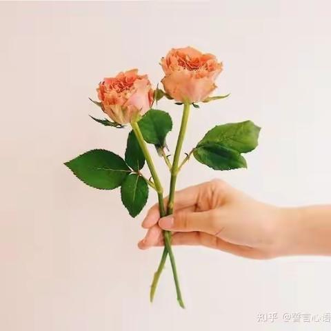 喜迎教师节，感念师恩