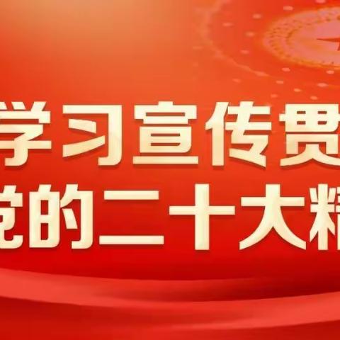 学习贯彻党的二十大精神，新形势下高质量做好新征程的纪检工作