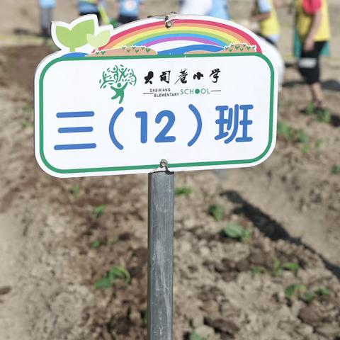 享劳动之乐，悟劳动之美 ——大司巷小学三（12）班暖心中队劳动实践活动