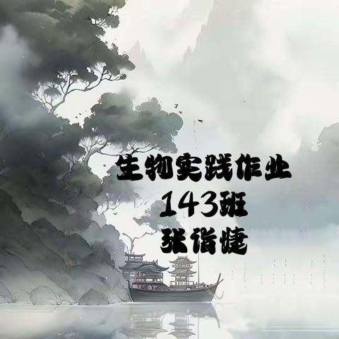 143班张诣婕  生物实践作业