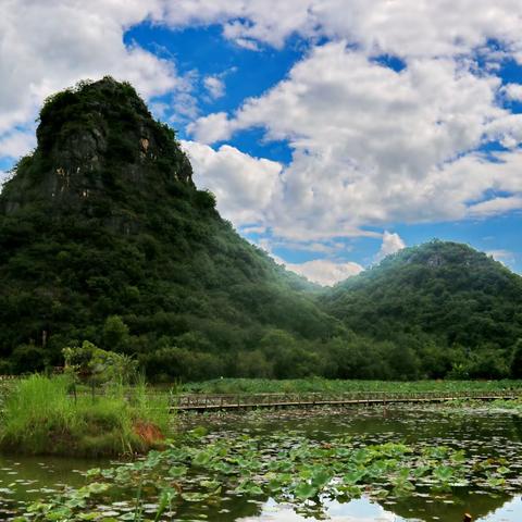 雲游： 二十五、成也是它，败也是它