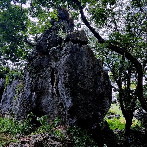 雲游： 四十二、穿洞越隙小石林