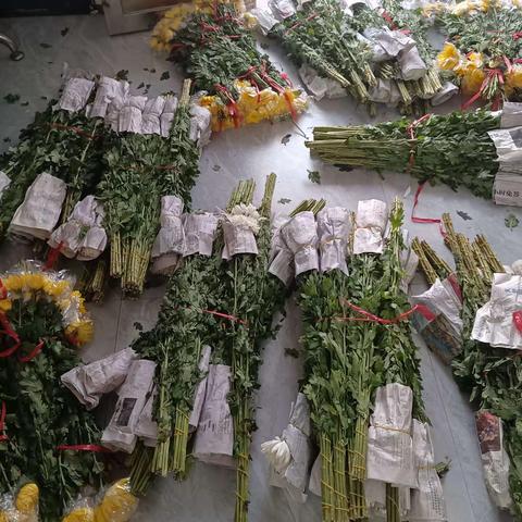车溪乡坝脑村开展“清明祭菊花，以花寄相思”发放活动