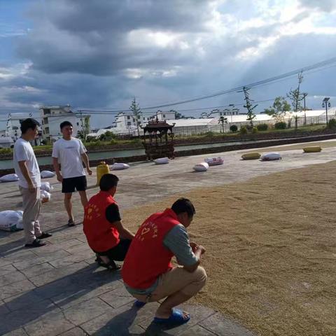 车溪乡坝脑村开展“倾听村民心声，助力乡村振兴”活动