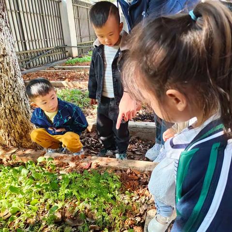 “快乐瞬间，精彩童年”——🌈奉新冶城职校附属幼儿园本周回忆💕💕💕