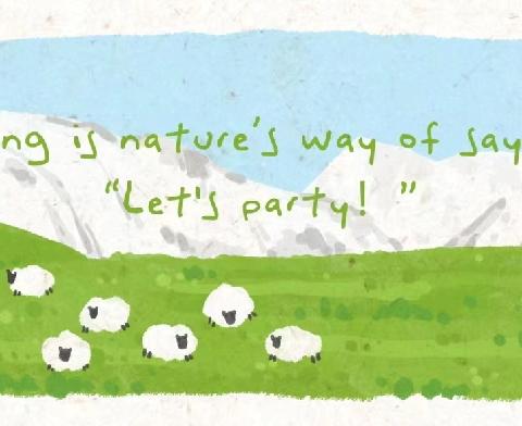 🎊贝尔安亲周周班周总结