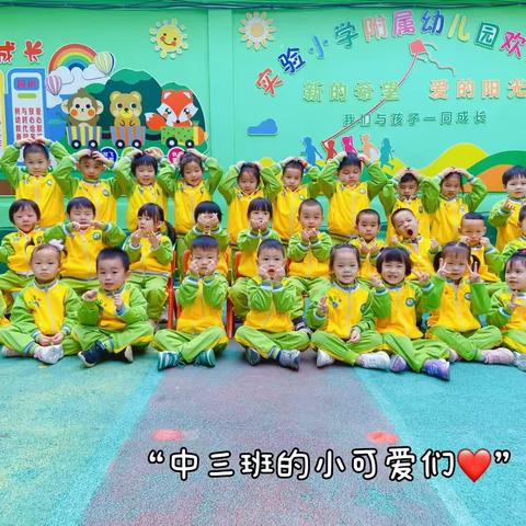 “💕回首美好，展望未来🌻”实验小学附属幼儿园中三班下学期期末美篇