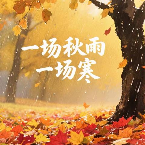 《什么比猎豹的速度更快》教学反思