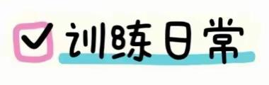 军训特辑 | 少年何惧骄阳烈 意气风发英姿飒——神农中学七年级153班