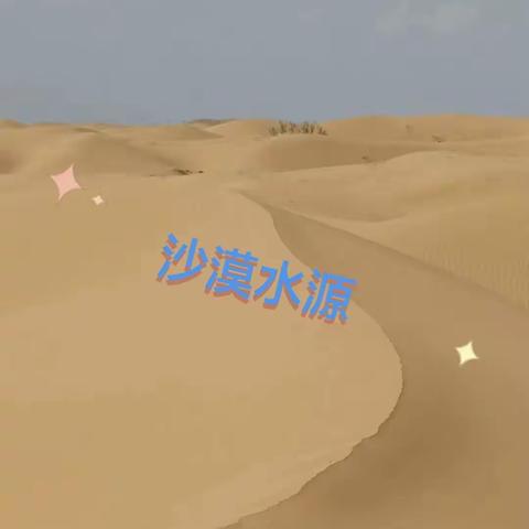 沙漠水源