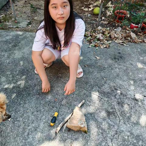 家庭科学实验（九)——杠杆实验（六一班 张嘉芮）