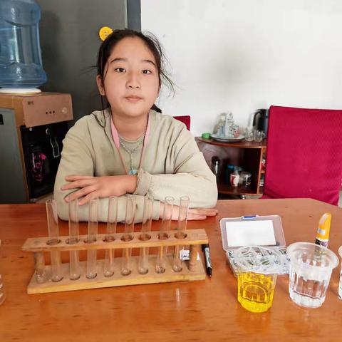 科学实验12（生锈问题 六年级一班张家芮）