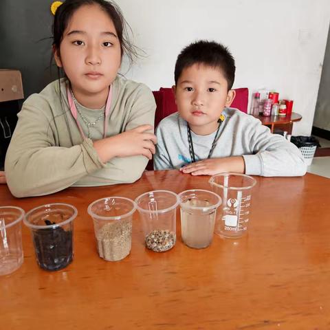 家庭科学实验（11）——净化水（张嘉芮，六年级（1）班）