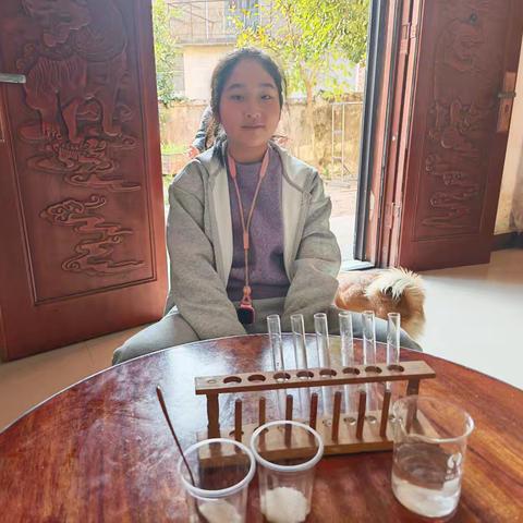 ➽乐趣实验➠15——《自己动手培养美丽的晶体》