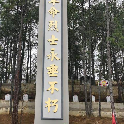 缅怀革命先烈 传承红色基因 ——维西县第二中学2025年清明缅怀英烈系列活动纪实