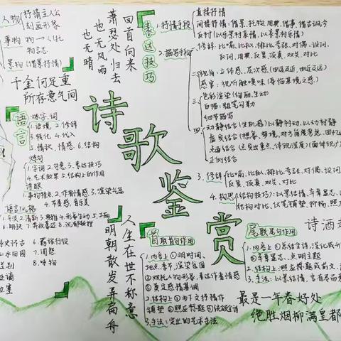 学业水平：画一门学科的思维导图