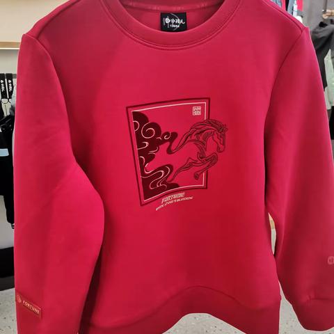 水孩儿春季新品大男童010卫衣