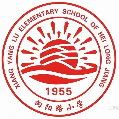 向阳路小学校“课后三点半”——科学编程社团活动