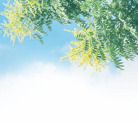 神秘失踪案