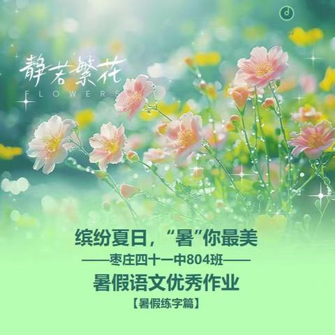 缤纷夏日，“暑”你最美 ——枣庄四十一中804班—— 暑假语文优秀作业展 【暑假练字篇】