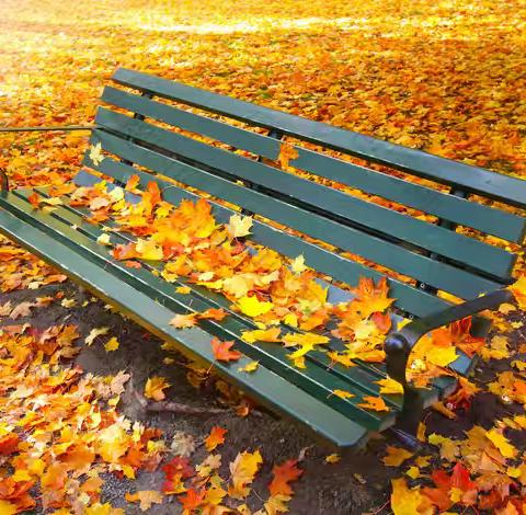 立足课题研究，赋能课堂教学 ——城关三小六年级组听评课活动纪实