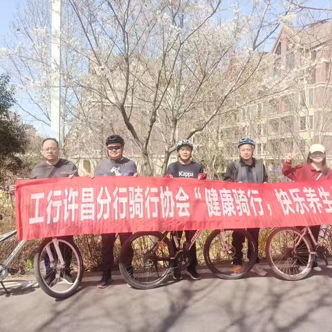 春风拂面，骑行踏春