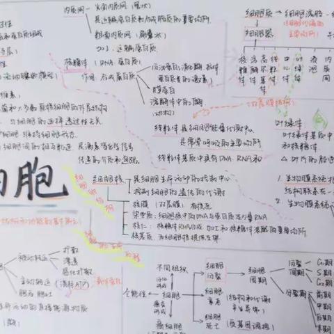 思维导图