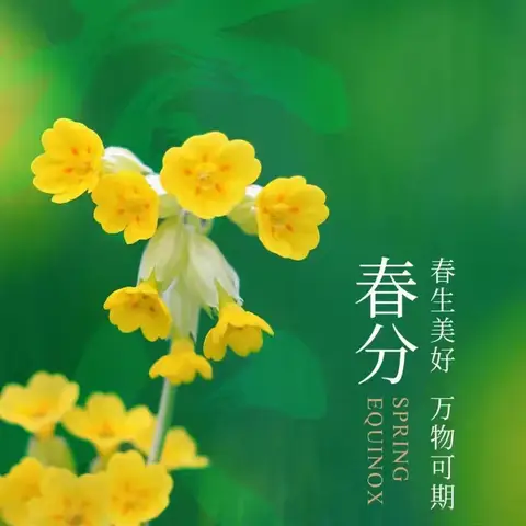 春风节气