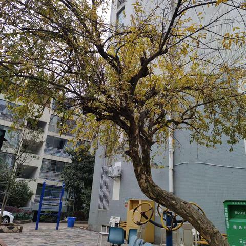 大家好，我来自贵州遵义市播州区，地地道道的贵州人，我为我了家乡代言！今天就让我带你走进我的家乡，让你感受我家乡的风景！