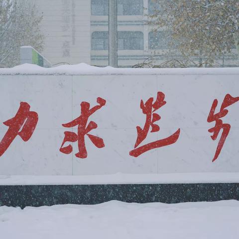 瑞雪满校园，除雪暖心间——友谊大街小学扫雪除冰纪实