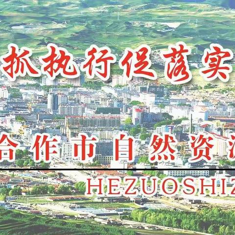 合作市自然资源局9月4日—10日工作动态