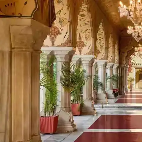 我居然看哭了一本书