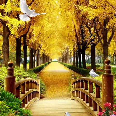 2026年里的第一天