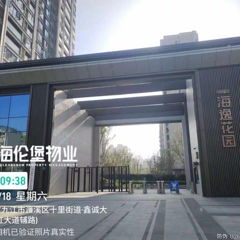 海伦堡物业11月份第三周周报