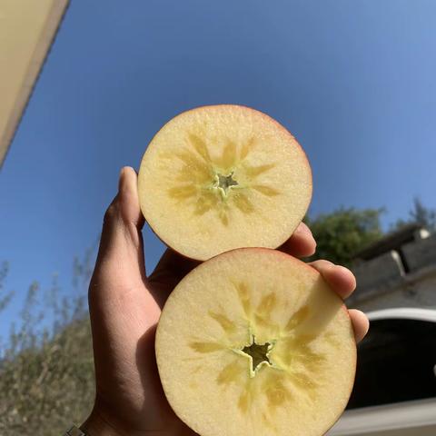 “苹果之美:从花朵到果实的绽放”