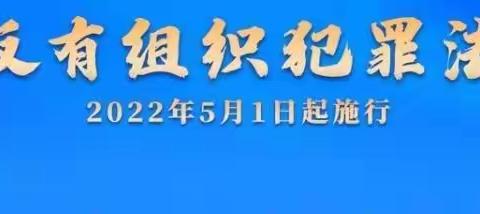 峪道河镇第二中心小学六年级开展学校《中华人民共和国反有组织犯罪法》主题班会