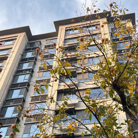 安泰物业印象新天地物业服务中心10月份工作汇报