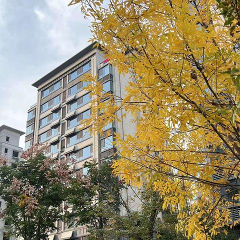 安泰物业印象新天地服务中心11月份第一周工作汇报