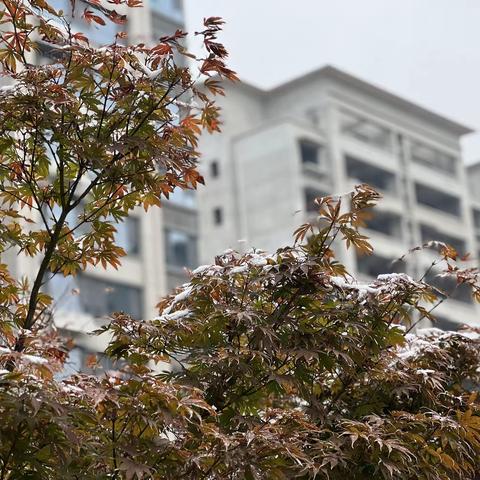 安泰物业印象新天地物业服务中心11月份第三周工作汇报