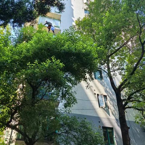 消除高空隐患，守护“家”的安全
