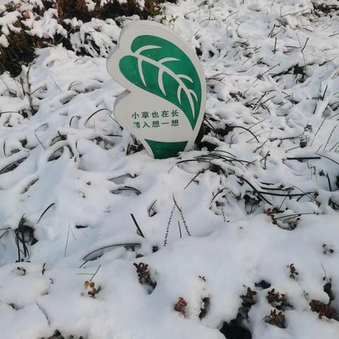 纵情冰雪，欢动全校——梁山县小安山镇第二中心小学玩雪赏雪活动纪实