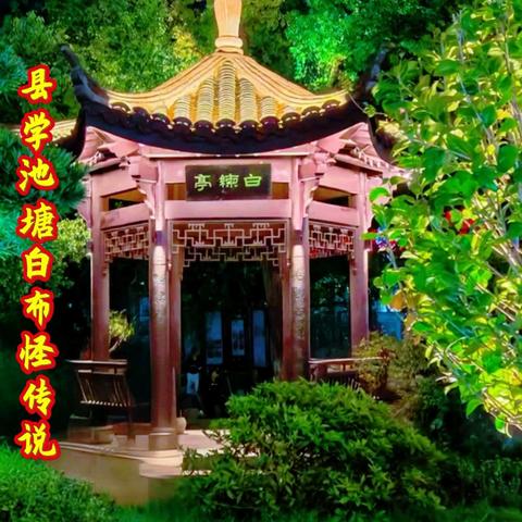 “衢州三怪”的故事