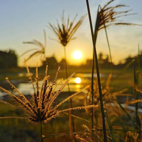 冬韵集锦||每一朵雪花都是天空的信使，诉说着冬的秘密