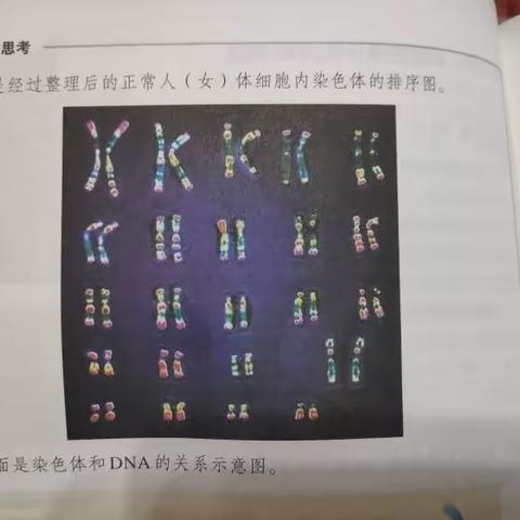 李忻玥的生物实践作业