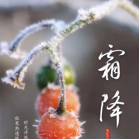 小一班二十四节气“霜降”