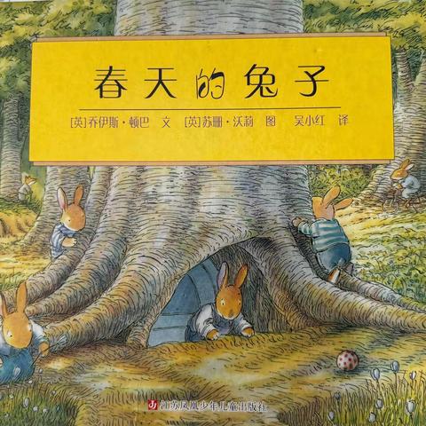 《春天的兔子🐰》