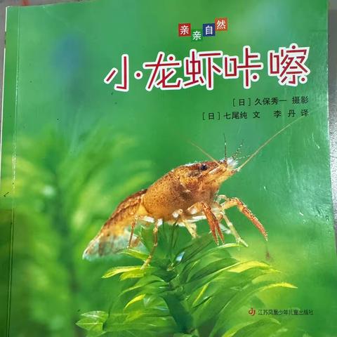 《小龙虾咔嚓》