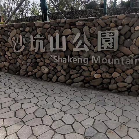 银发寻春沙坑山公园