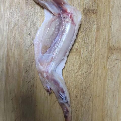 144白志清生物实践作业——解剖鸡翅