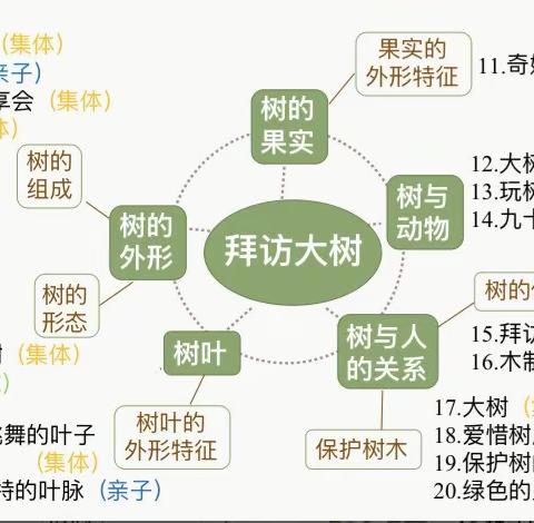 翡翠城蓝天幼儿园《拜访大树》——维尼班